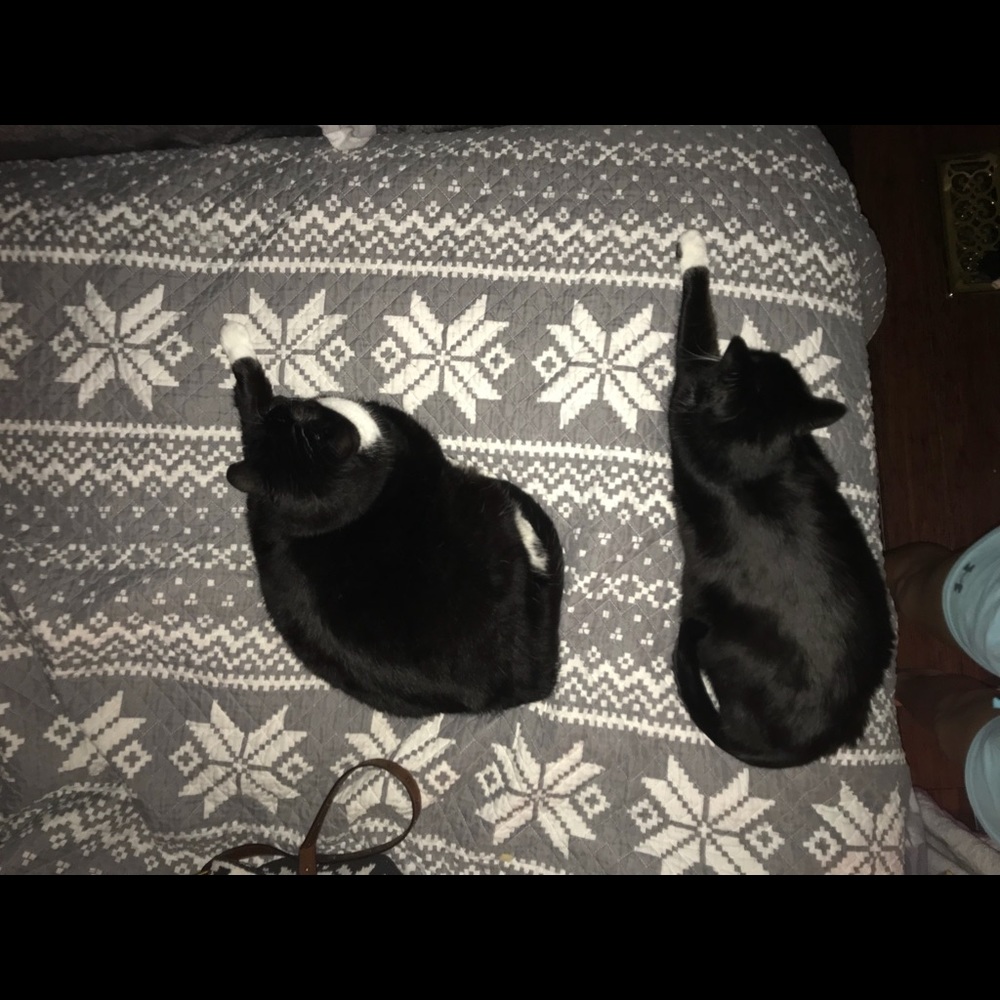 Meet your Posher, Kenzi